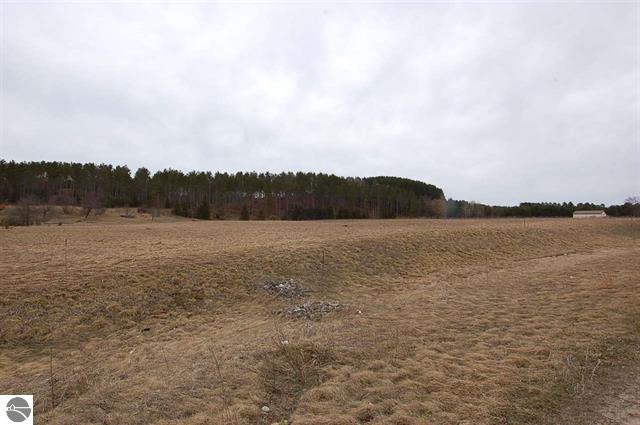 38.4 Acres of Vacant Land for sale in Manton